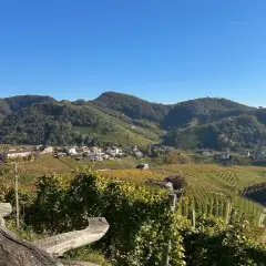 Wzgórza winnic w Conegliano, gdzie powstaje najdroższe prosecco. Widok na malowniczą wioskę i pola winorośli.