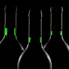 Trzy butelki z zielonymi akcentami, sugerujące dobre wino wytrawne czerwone. Ciemne tło podkreśla elegancję.