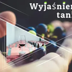 Wyjaśnienie tanin w winie. Dłoń trzyma winogrona, w tle kieliszek z czerwonym winem i beczki.