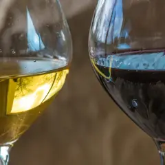 Dwa kieliszki wina, białe i czerwone. Czerwone wino może mieć skutki uboczne, ale oba napoje kuszą smakiem.