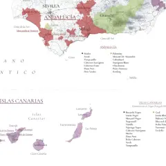 Mapa prezentująca regiony winiarskie Hiszpanii, w tym Andaluzję i Wyspy Kanaryjskie, z zaznaczonymi odmianami winogron.