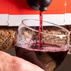 Czerwone wino leje się z kartonu do kieliszka. Wygodny sposób na serwowanie wina w 5 litrowej butelce.