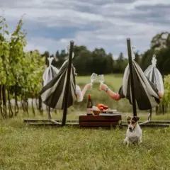 Romantyczny wieczór w winnicy w Polsce z noclegiem. Para w hamakach wznosi toast, piesek pilnuje pikniku.
