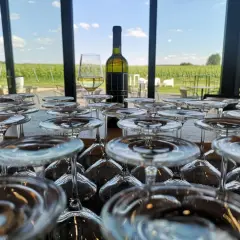 Szklanki czekają na degustację w winnicy Preto. W tle rozciągają się zielone winorośle pod błękitnym niebem.