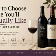 Trzy butelki win: Malbec, Merlot i Sauvignon Blanc, obok kieliszka z czerwonym winem. Poradnik "Jak wybrać marki win, które pokochasz".