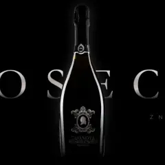Elegancka butelka wina musującego z napisem "PROSECCO" i tekstem "CZYLI O JEDNYM Z NAJPOPULARNIEJSZYCH WIN MUSUJĄCYCH". Odkryj różne prosecco rodzaje.