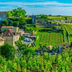 Malownicze winnice i kamienne domy w Bordeaux, gdzie dojrzewa wino.
