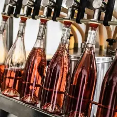 Różowe wino w butelkach na linii rozlewniczej. Czy można pić wino, które jeszcze pracuje? Proces fermentacji w butelce.