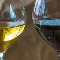 Dwa kieliszki wina, białe i czerwone. Czerwone wino może mieć skutki uboczne, ale oba napoje kuszą smakiem.