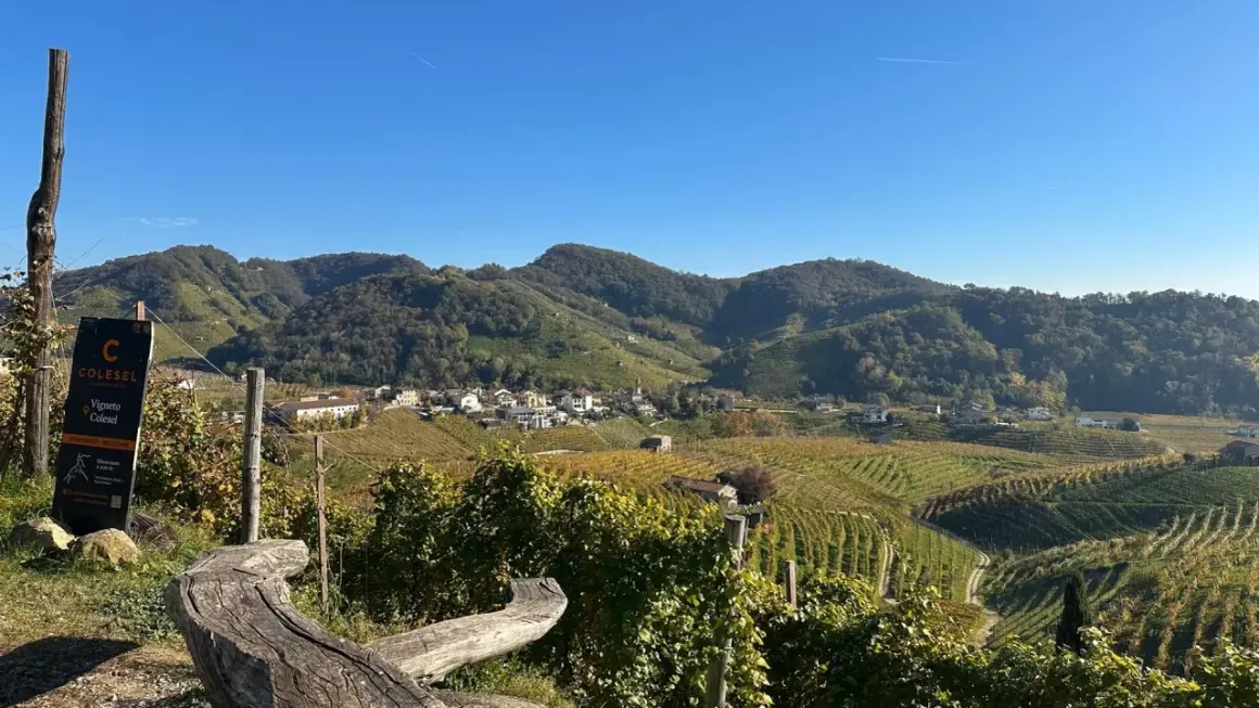 Wzgórza winnic w Conegliano, gdzie powstaje najdroższe prosecco. Widok na malowniczą wioskę i pola winorośli.
