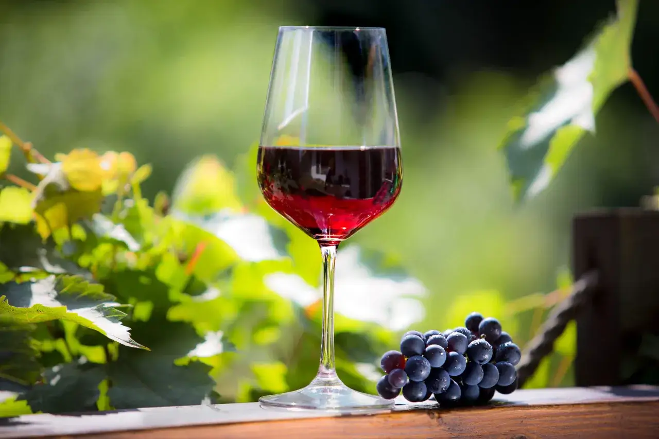 Czerwone wino w kieliszku i kiść ciemnych winogron na drewnianym blacie. Idealne pytanie: jakie wino do dziczyzny?