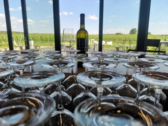 Winnica Preto w Lubuskim - kameralna degustacja i wina