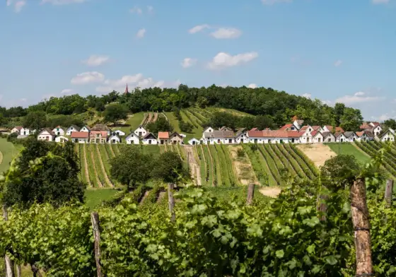 Weinviertel - region Grüner Veltliner, DAC i Kellergassen